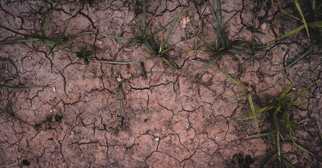 IT-krapte blijft, ChatGPT genereert wiskundige bewijzen en cameramisbruik op werk