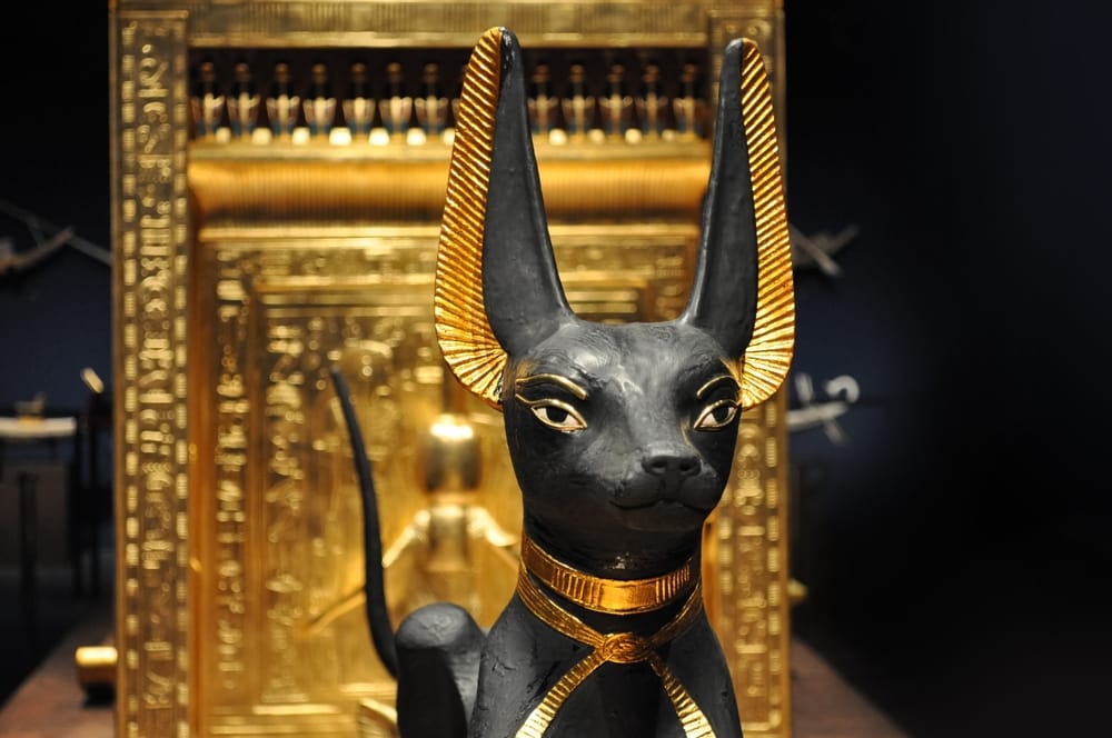 Anubis-ransomware misbruikt CitrixBleed 2 en RMM-tools voor aanvallen